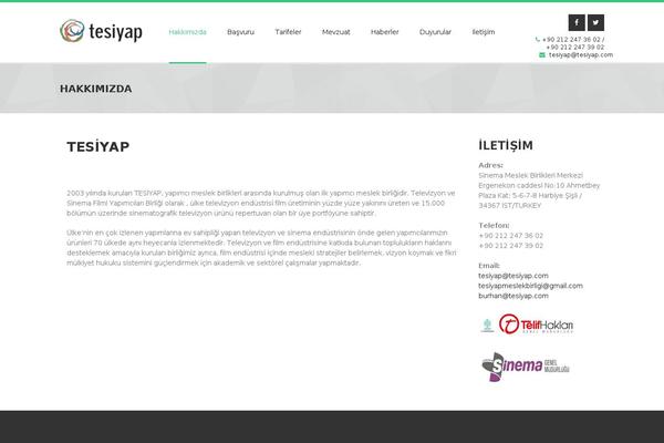 Magnis theme site design template sample