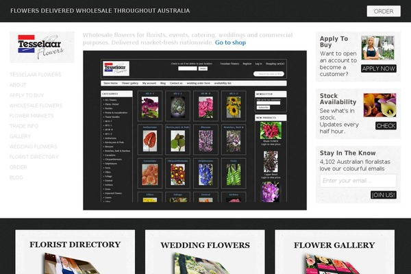 Pro theme site design template sample