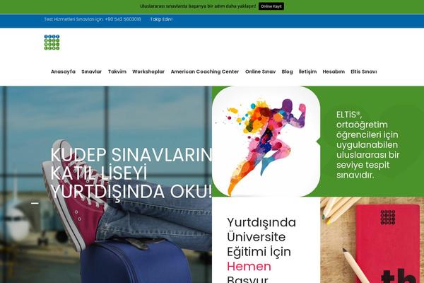 Academist theme site design template sample