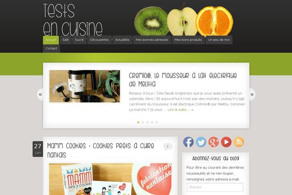 Japibas theme site design template sample