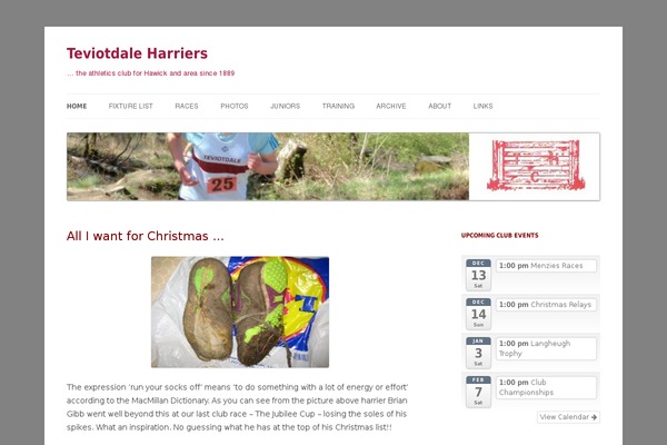 Twentyfourteen Child theme site design template sample