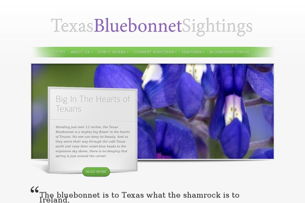 Site using Social Media Widget plugin