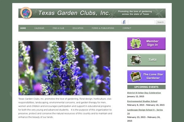 Ashe theme site design template sample