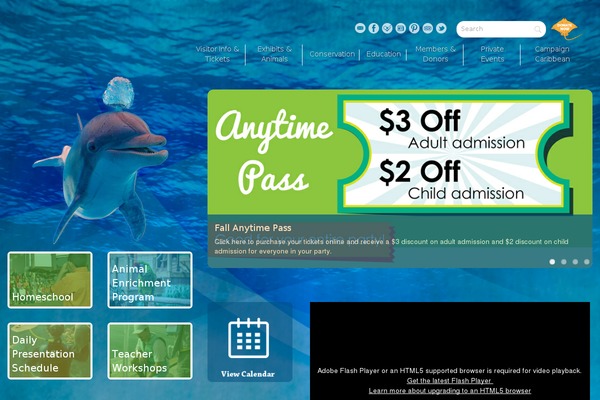 tsa theme websites examples