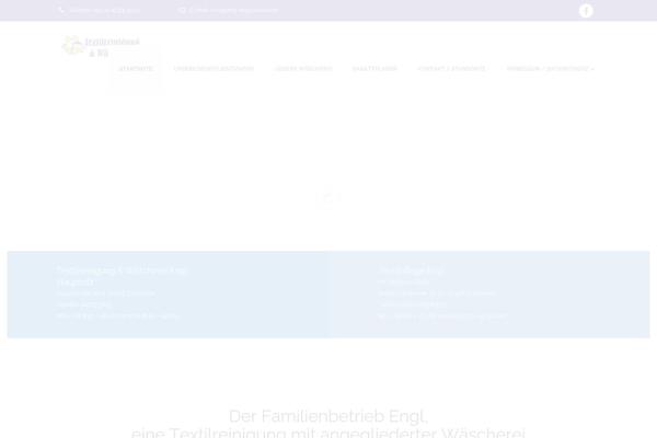 textilpflege-engl.de site used Laundryes