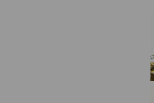 Site using Nd-shortcodes plugin