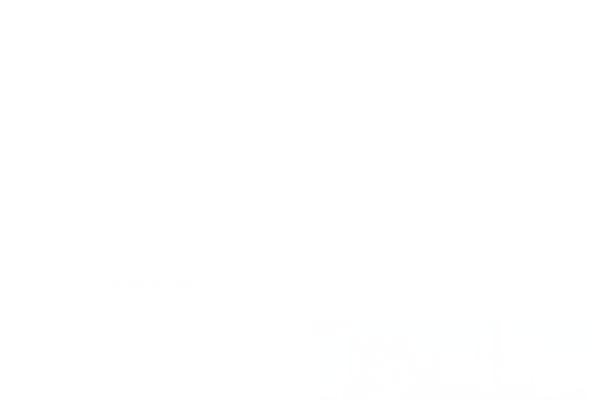 Site using WP Datepicker plugin