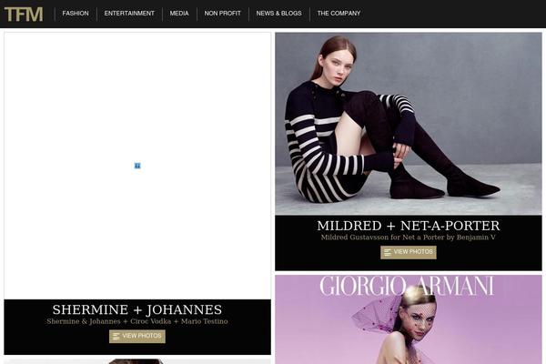 tfm theme websites examples