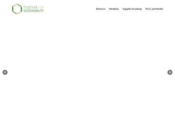 Total Child theme site design template sample