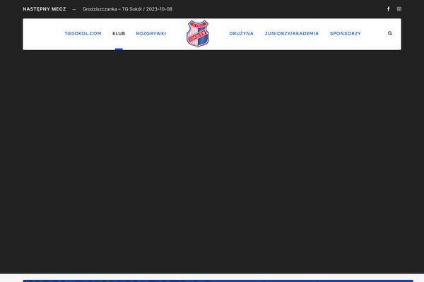 Bigslam theme site design template sample