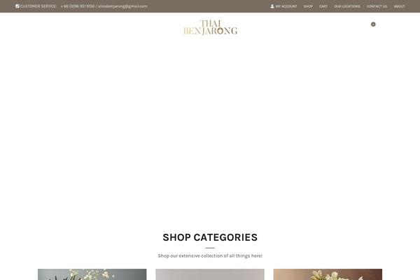 Basel-child theme site design template sample