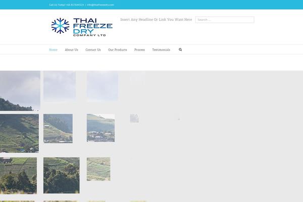 Site using Elementor-pro plugin