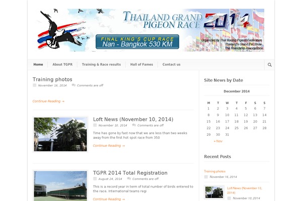 Modernize theme site design template sample