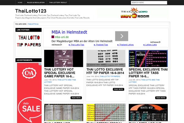 vibeo WordPress theme, websites list used vibeo theme vibeo theme websites examples