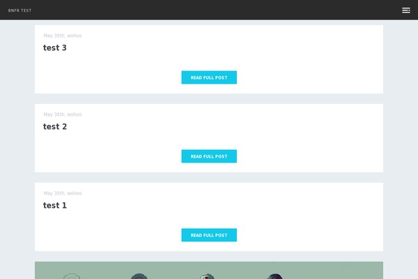 rogue theme websites examples