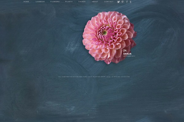 Site using Layout-grid plugin
