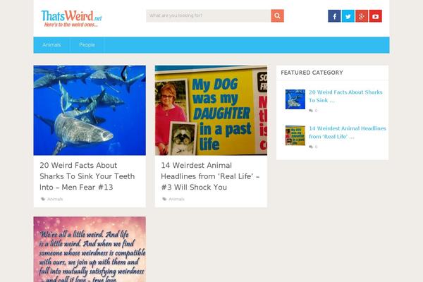 Mts_sociallyviral theme site design template sample