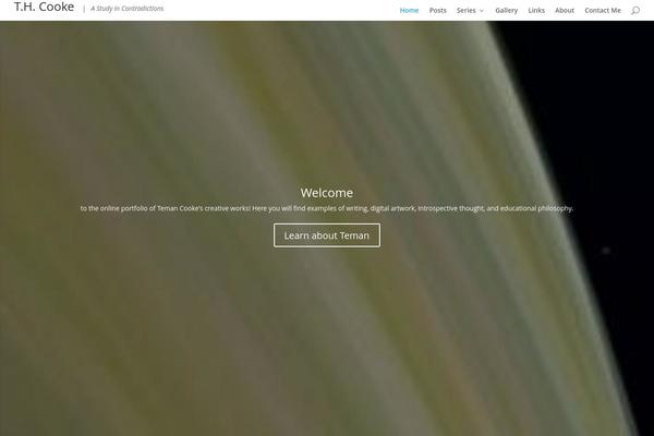 Divi theme site design template sample