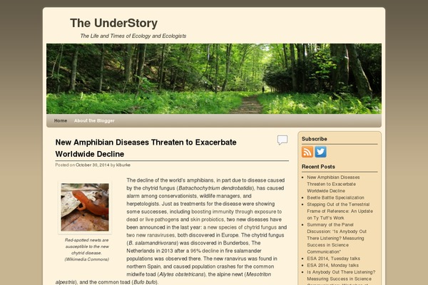 Cool Blog theme site design template sample