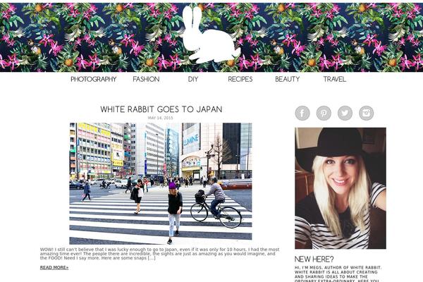 Site using Salient-portfolio plugin