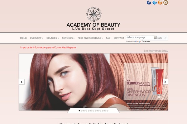 Site using Testimonials Slider plugin