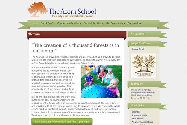 Iribbon Pro 2 theme site design template sample