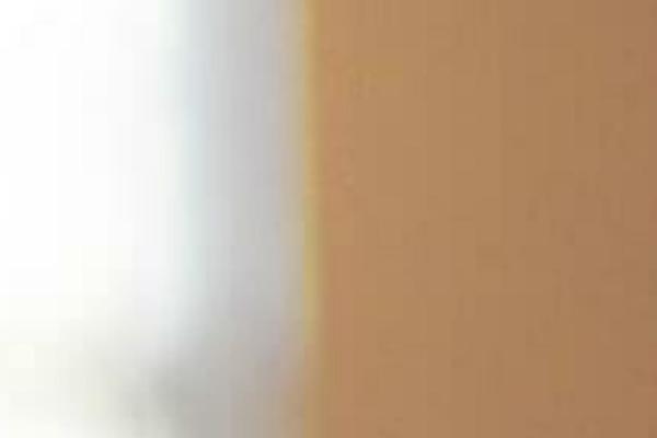 Busy Bee theme site design template sample