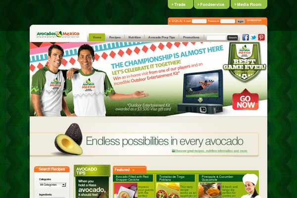 afm theme websites examples