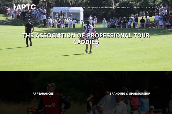 itr theme websites examples