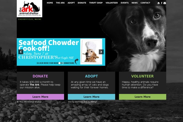 thearkpets.org site used Divi-child-theme