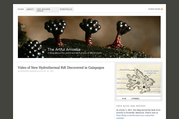 Thesis-15 theme site design template sample