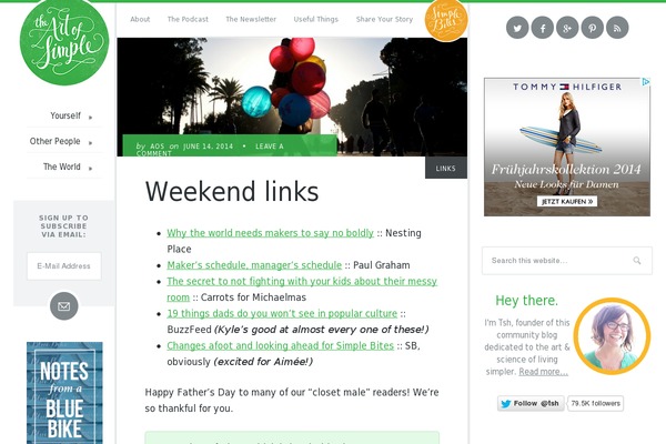 twenty-seven-pro theme websites examples