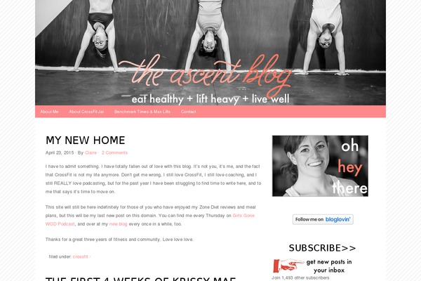 colormepink WordPress theme, websites list used colormepink theme colormepink theme websites examples