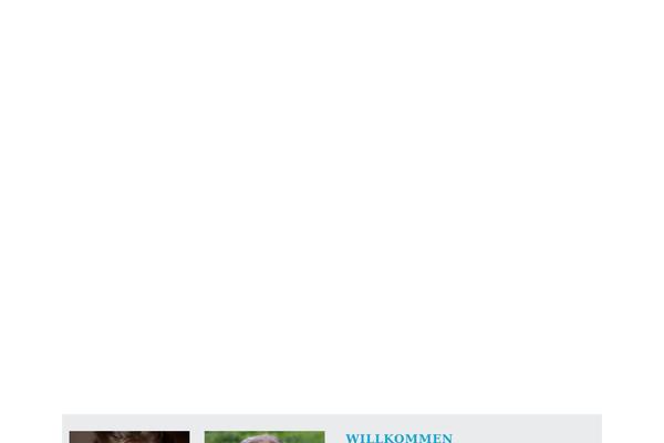 Site using SendinBlue Subscribe Form And WP SMTP plugin