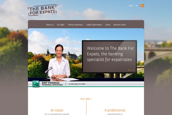 bfe theme websites examples