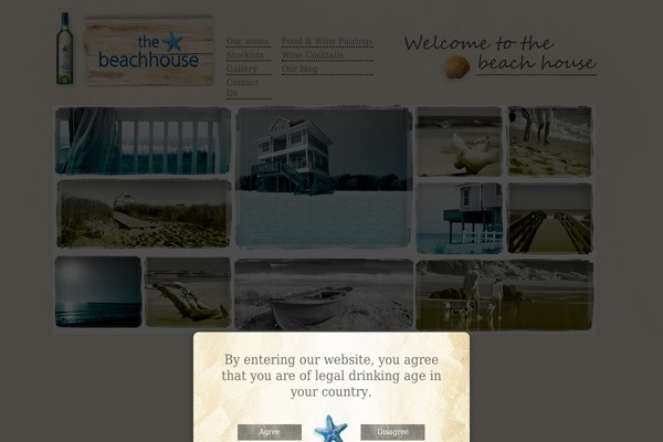 Site using Divi-pixel plugin