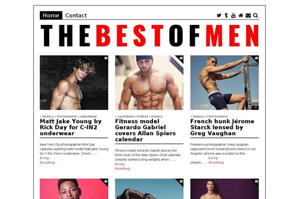 The Fox theme site design template sample