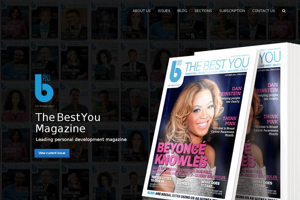 Site using WP Author Box Lite plugin