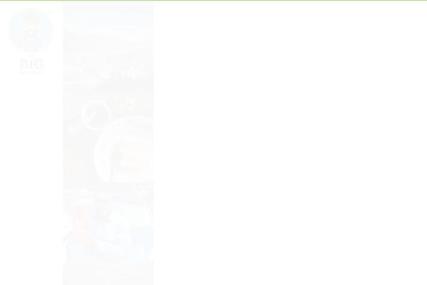 thebigbhookad.com site used Gullvy_child