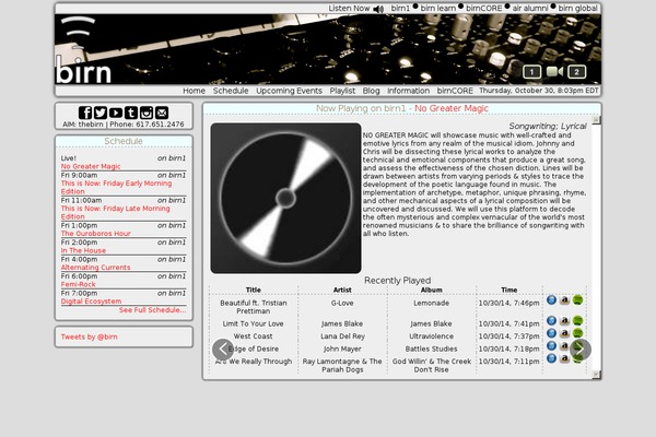 birn theme websites examples