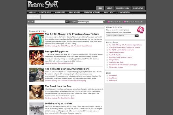 Magazine_10 theme site design template sample