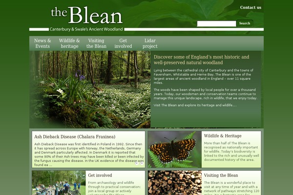 Shoptimizer theme site design template sample