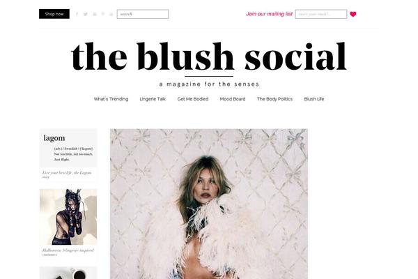 Site using Mailchimp-for-wp-pro plugin