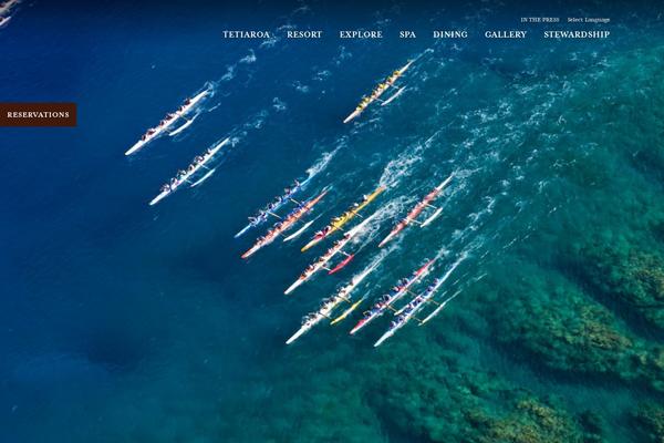 Brando website example screenshot