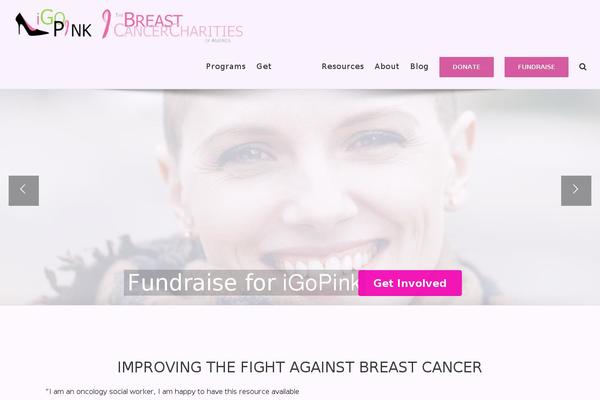 bcca theme websites examples