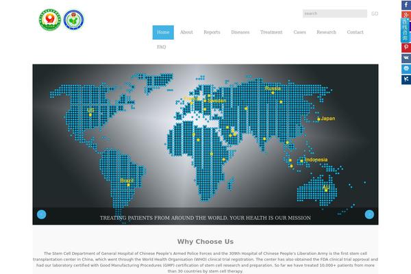 theme45161 theme websites examples