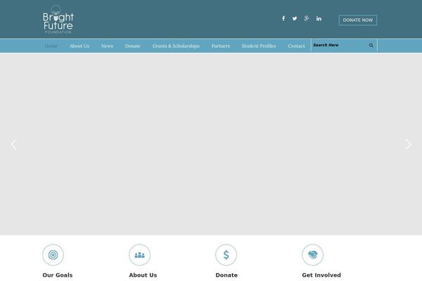 The-cause theme site design template sample