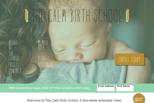 Cbs theme site design template sample