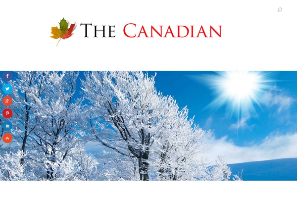 Divi-11 theme websites examples