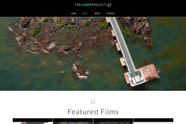 Pro theme site design template sample